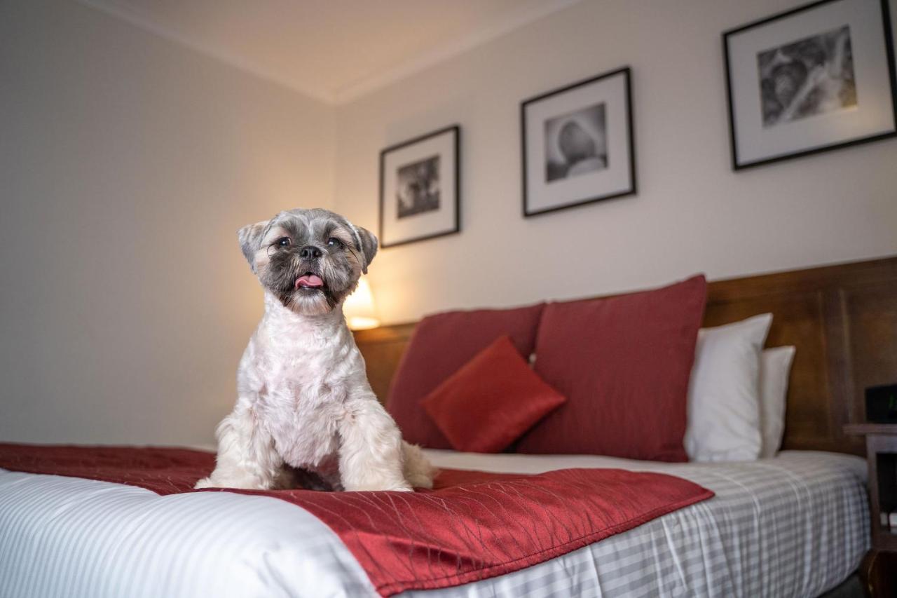 Mercure Canberra Zewnętrze zdjęcie